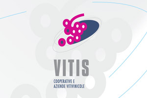 Software gestionale - VITIS